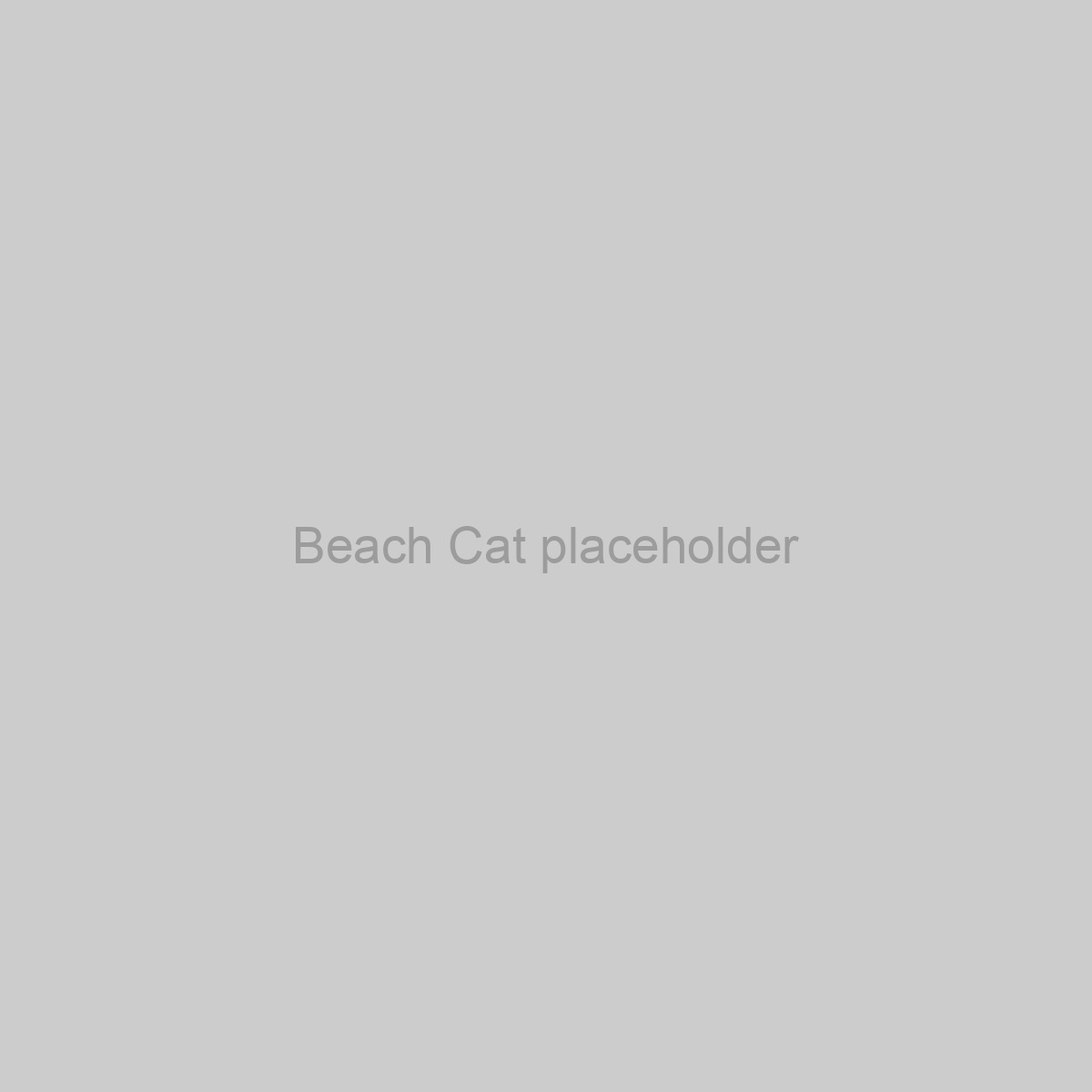 Beach Cat Placeholder Image